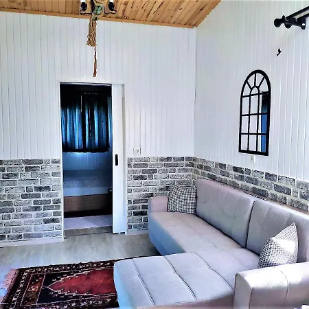 Dalyan Thiny House أورتاجا